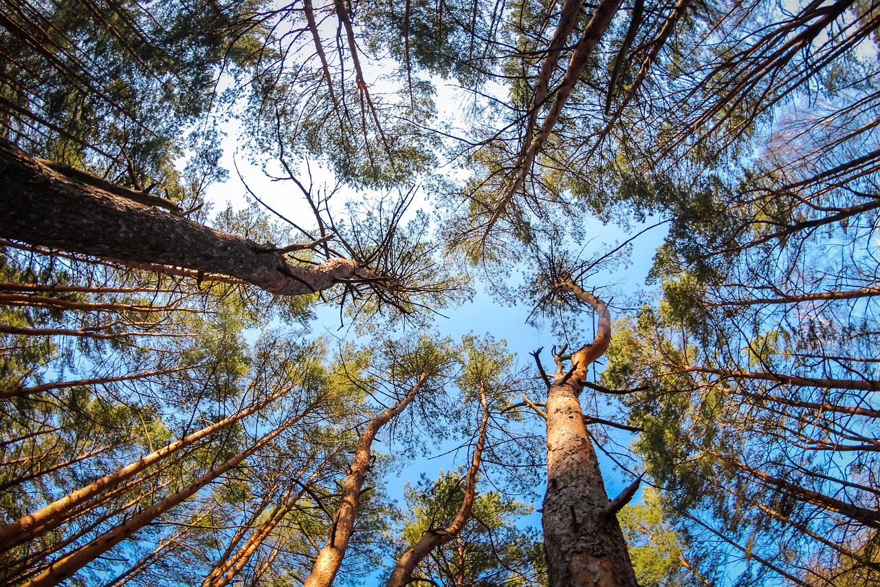 Why should we transition toward Circular Economy?